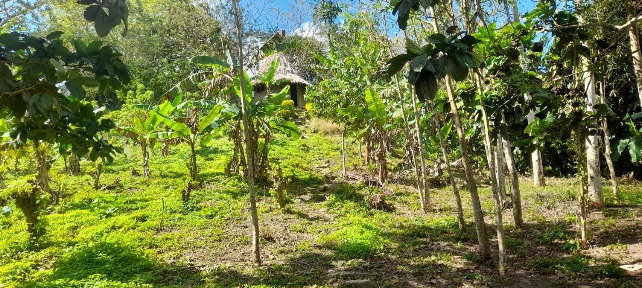 Los Mandainos Casa rural *